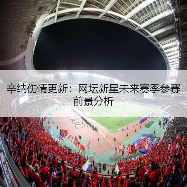 辛纳伤情更新:网坛新星未来赛季参赛前景分析